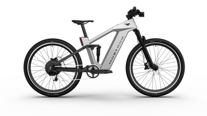 Mustang E-Bike: Advanced Tech, Effortless Control & Unbeatable Value for All Ages. Ride Smart.