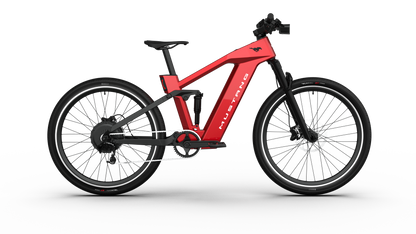 Mustang E-Bike: Advanced Tech, Effortless Control & Unbeatable Value for All Ages. Ride Smart.