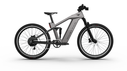 Mustang E-Bike: Advanced Tech, Effortless Control & Unbeatable Value for All Ages. Ride Smart.
