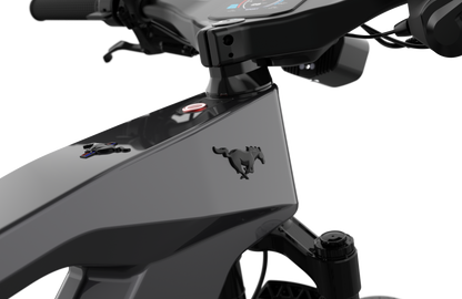 Mustang E-Bike: Advanced Tech, Effortless Control & Unbeatable Value for All Ages. Ride Smart.