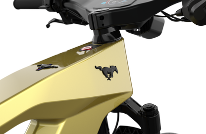 Mustang E-Bike: Advanced Tech, Effortless Control & Unbeatable Value for All Ages. Ride Smart.