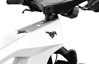 Mustang E-Bike: Advanced Tech, Effortless Control & Unbeatable Value for All Ages. Ride Smart.