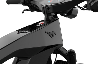 Mustang E-Bike: Advanced Tech, Effortless Control & Unbeatable Value for All Ages. Ride Smart.
