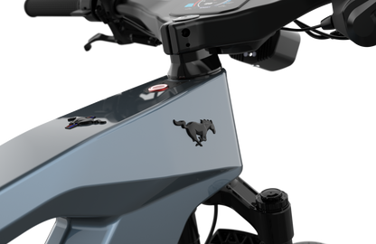 Mustang E-Bike: Advanced Tech, Effortless Control & Unbeatable Value for All Ages. Ride Smart.