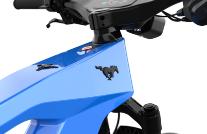 Mustang E-Bike: Advanced Tech, Effortless Control & Unbeatable Value for All Ages. Ride Smart.