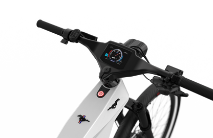 Mustang E-Bike: Advanced Tech, Effortless Control & Unbeatable Value for All Ages. Ride Smart.
